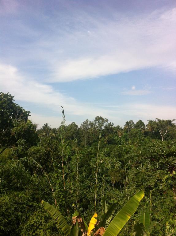 Pondok Bali Ubud Kültér fotó